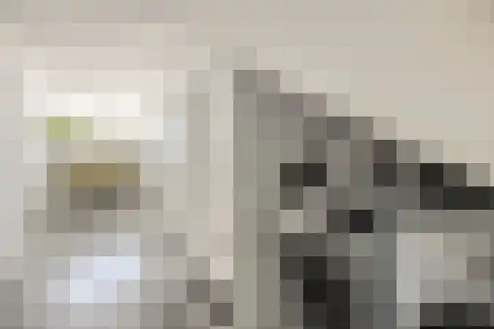 Heienlangdonk 69 Breda thumbnail 36