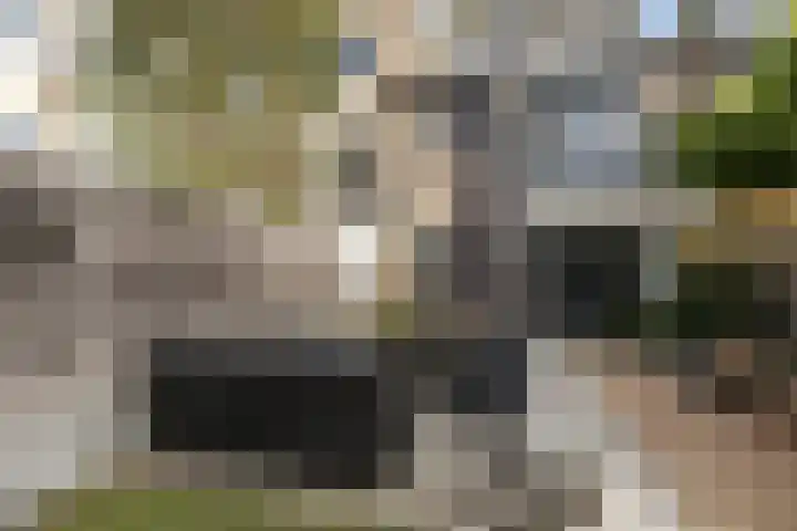 Heienlangdonk 69 Breda thumbnail 40