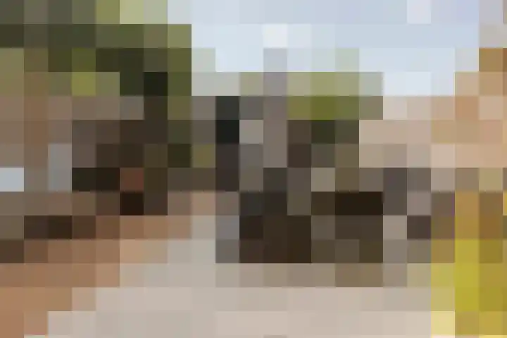 Heienlangdonk 69 Breda thumbnail 47