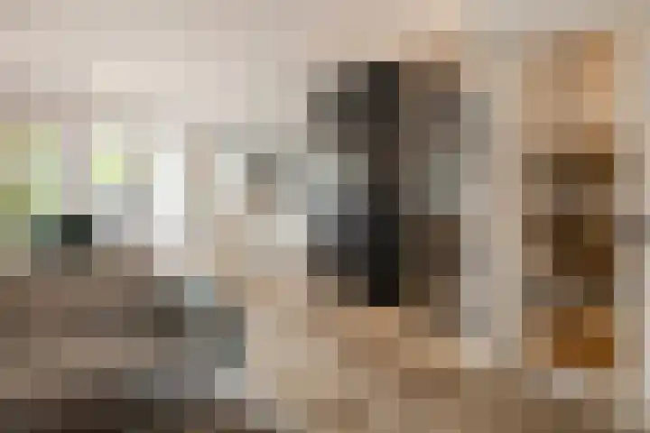 Heienlangdonk 69 Breda thumbnail 6