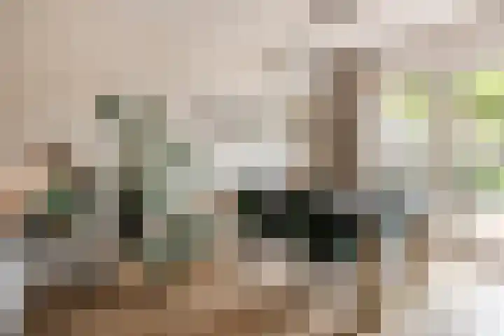 Heienlangdonk 69 Breda thumbnail 8