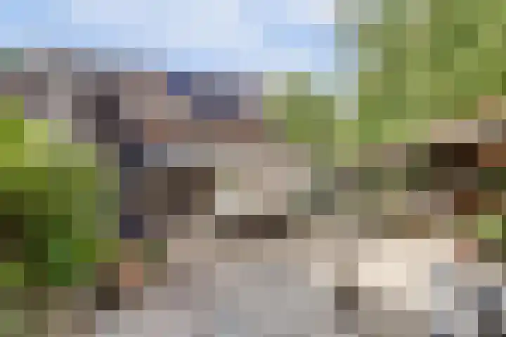 Heierkerkweg 11 Venlo thumbnail 21