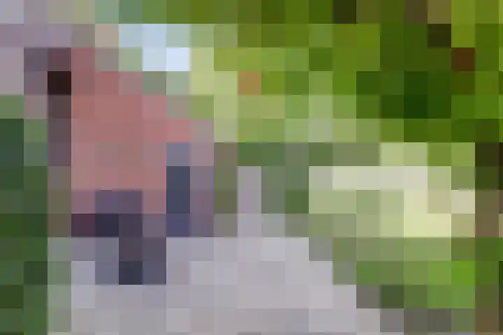 Heierkerkweg 11 Venlo thumbnail 22