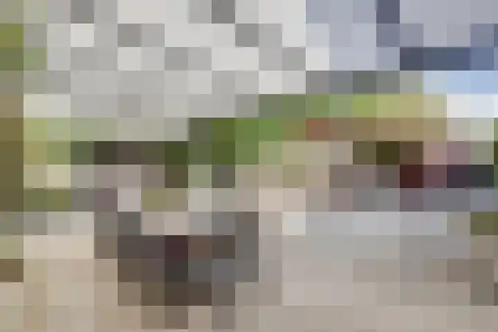 Heierkerkweg 11 Venlo thumbnail 23