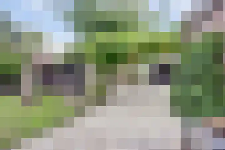 Heierkerkweg 11 Venlo thumbnail 24