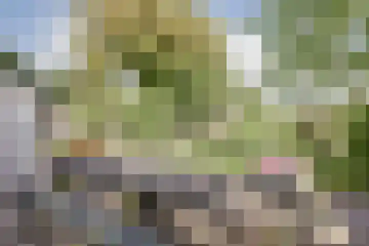 Heierkerkweg 11 Venlo thumbnail 25