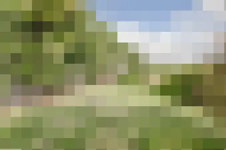 Heierkerkweg 11 Venlo thumbnail 26