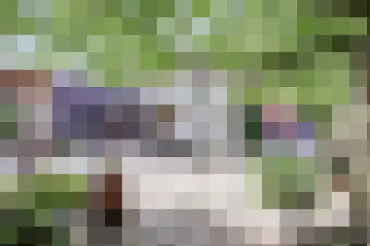 Heierkerkweg 11 Venlo thumbnail 27