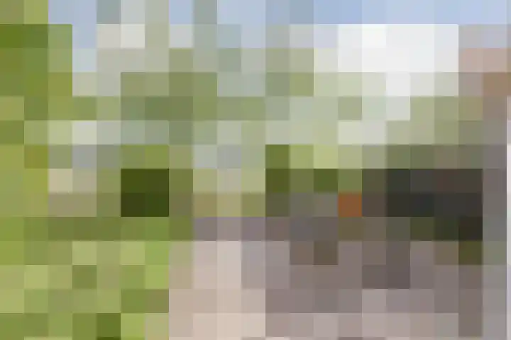 Heierkerkweg 11 Venlo thumbnail 28