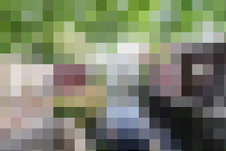 Heierkerkweg 11 Venlo thumbnail 32