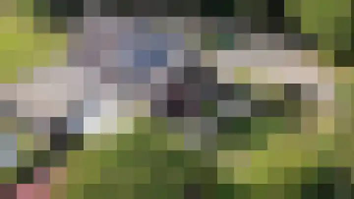 Heierkerkweg 11 Venlo thumbnail 33