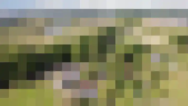 Heierkerkweg 11 Venlo thumbnail 34