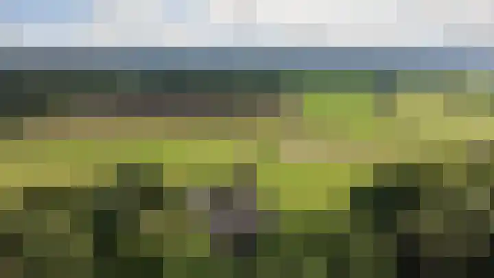 Heierkerkweg 11 Venlo thumbnail 35