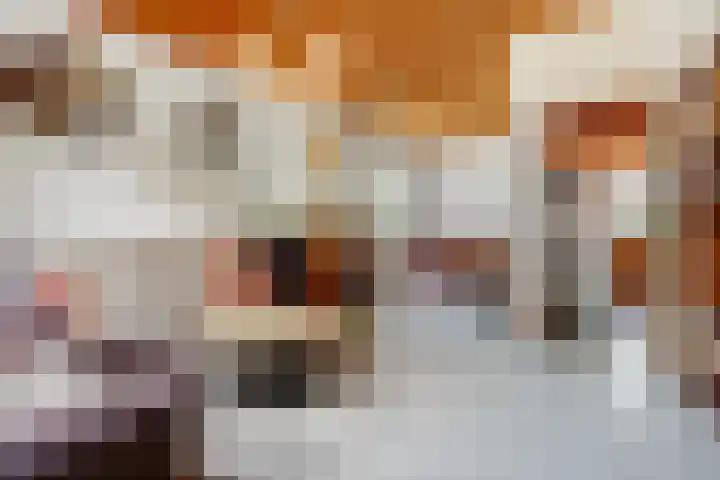 Heierkerkweg 11 Venlo thumbnail 5