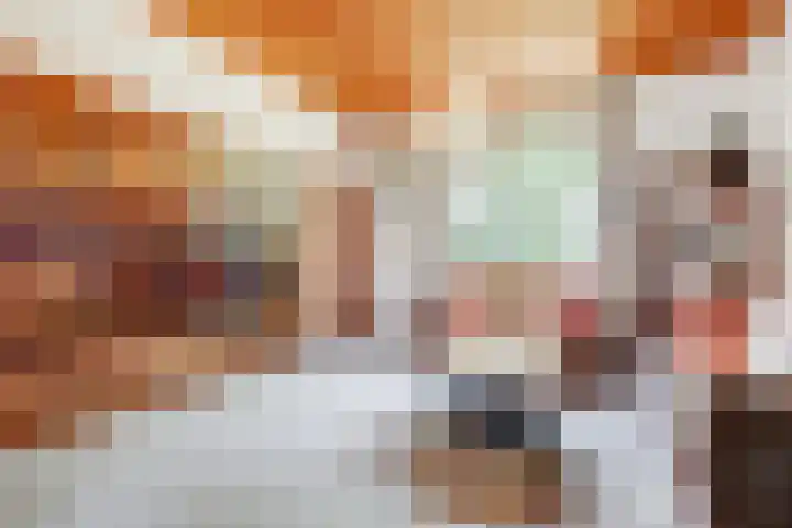 Heierkerkweg 11 Venlo thumbnail 6