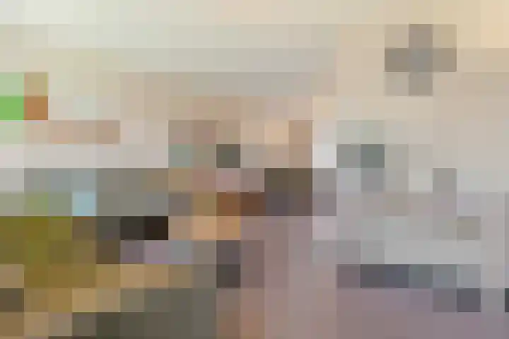 Heierveldlaan 46 Maasbree thumbnail 13