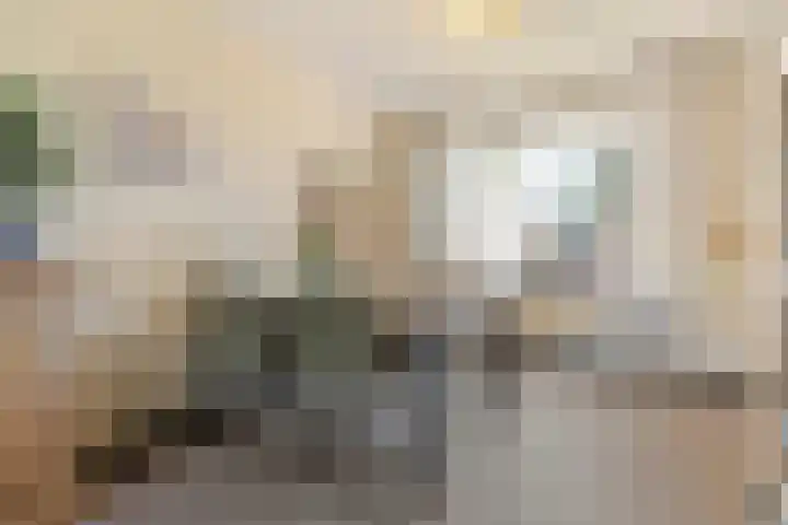Heierveldlaan 46 Maasbree thumbnail 14