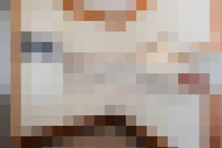 Heierveldlaan 46 Maasbree thumbnail 17