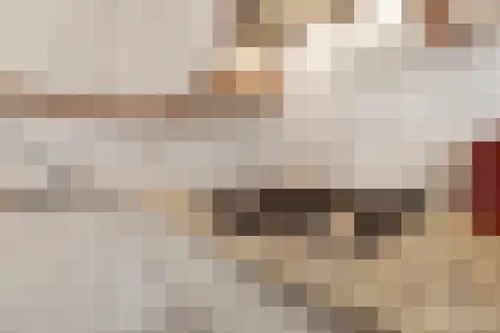 Heierveldlaan 46 Maasbree thumbnail 19