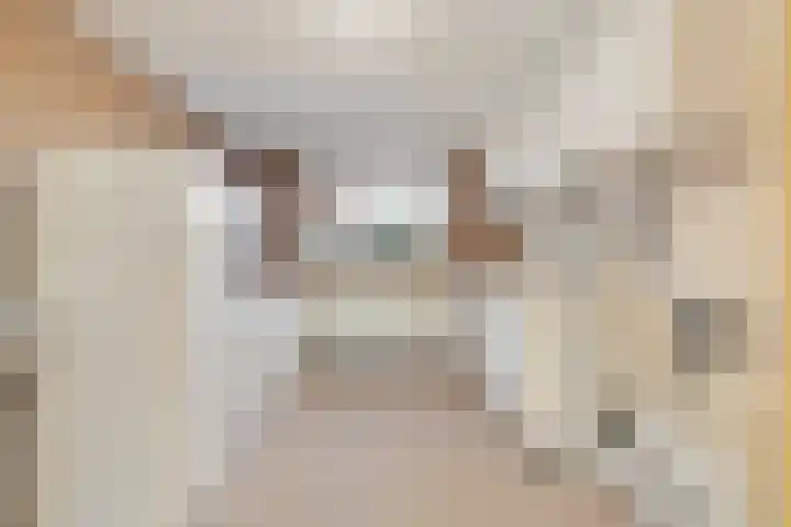 Heierveldlaan 46 Maasbree thumbnail 21