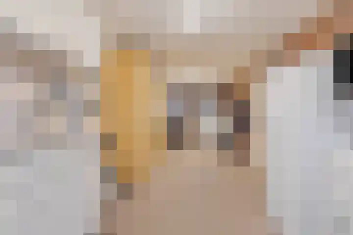 Heierveldlaan 46 Maasbree thumbnail 22