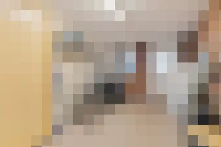 Heierveldlaan 46 Maasbree thumbnail 23