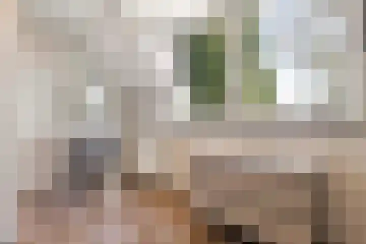Heierveldlaan 46 Maasbree thumbnail 30