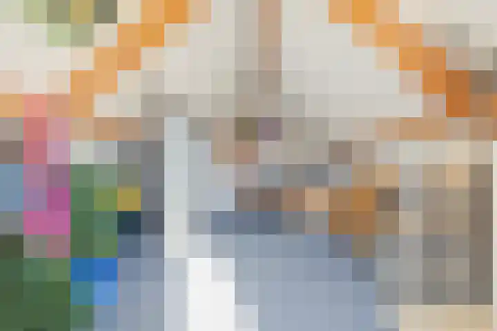 Heierveldlaan 46 Maasbree thumbnail 33