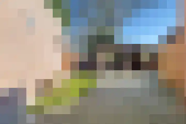Heierveldlaan 46 Maasbree thumbnail 35