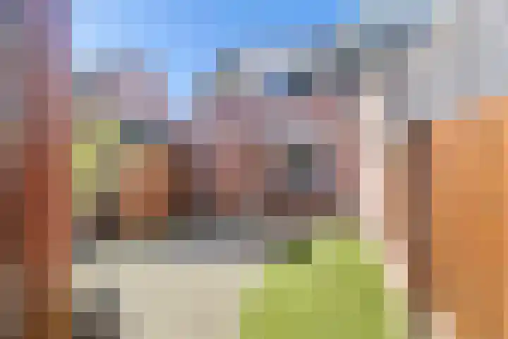 Heierveldlaan 46 Maasbree thumbnail 39