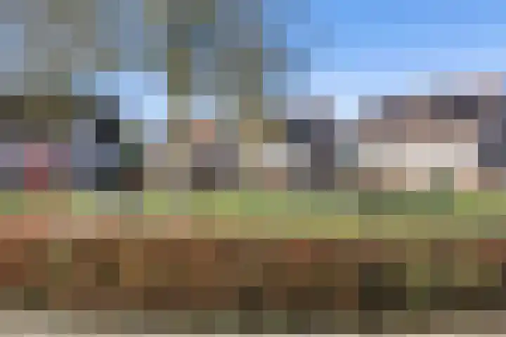 Heierveldlaan 46 Maasbree thumbnail 40