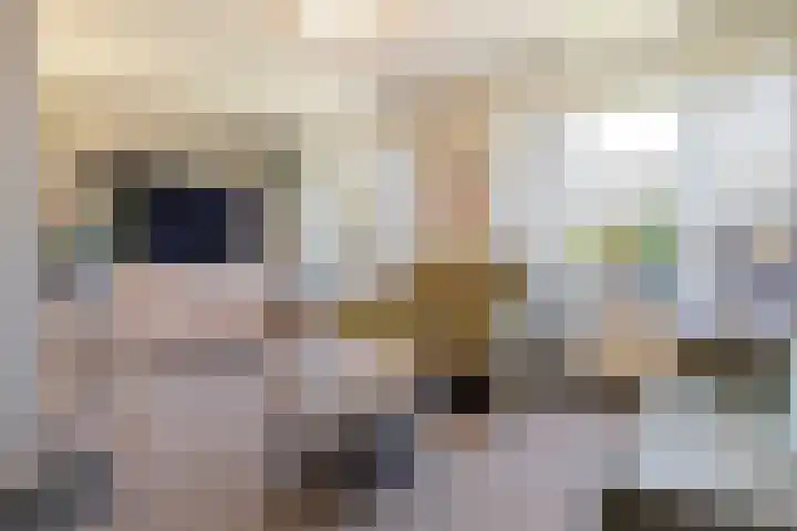 Heierveldlaan 46 Maasbree thumbnail 9