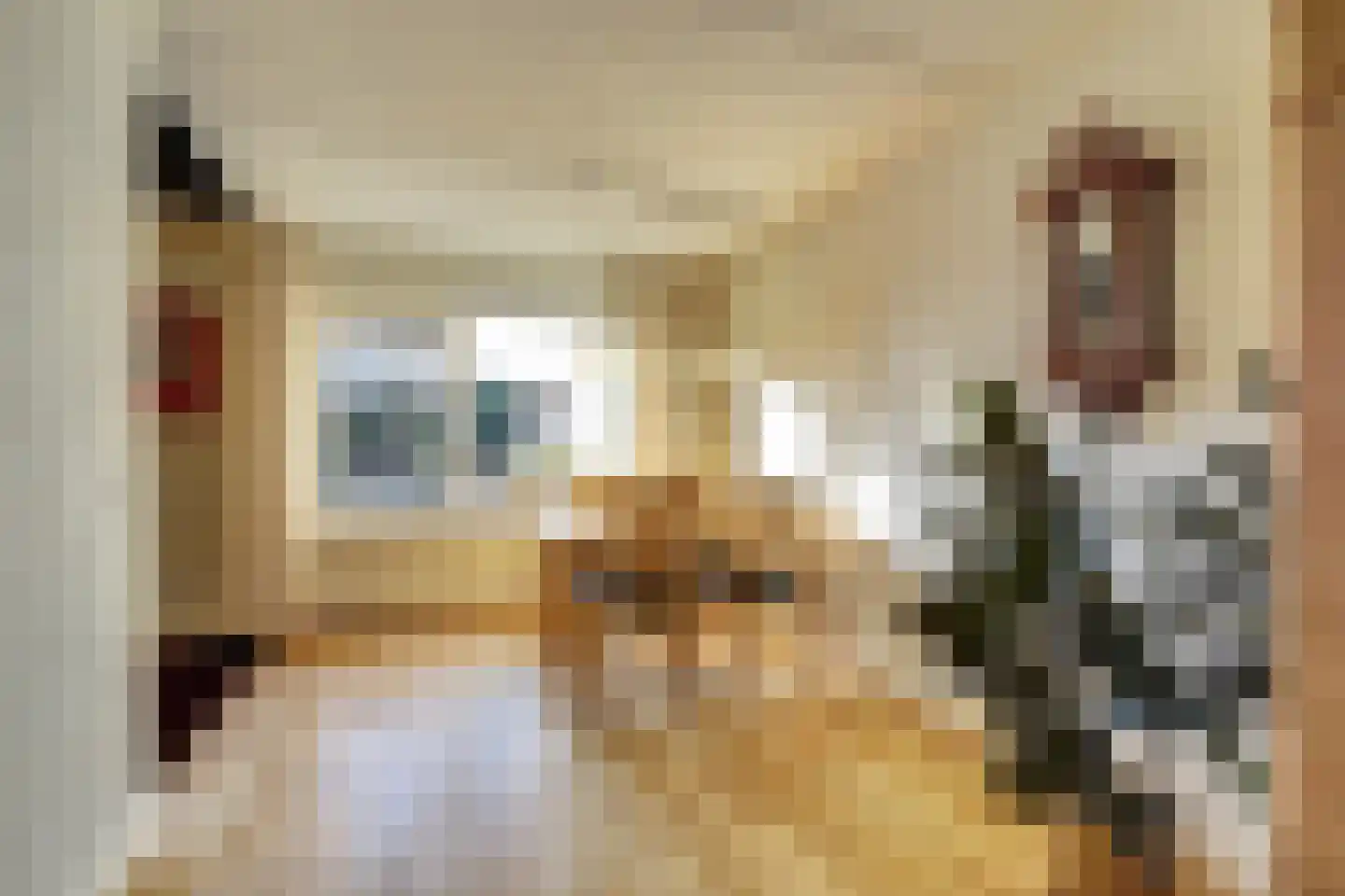 Heierveldlaan 59 Maasbree thumbnail 14