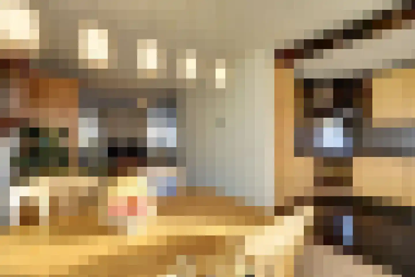 Heierveldlaan 59 Maasbree thumbnail 16