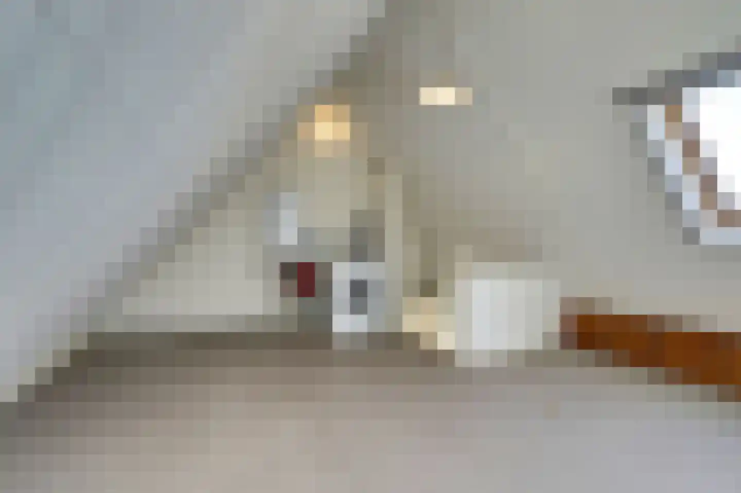 Heierveldlaan 59 Maasbree thumbnail 32