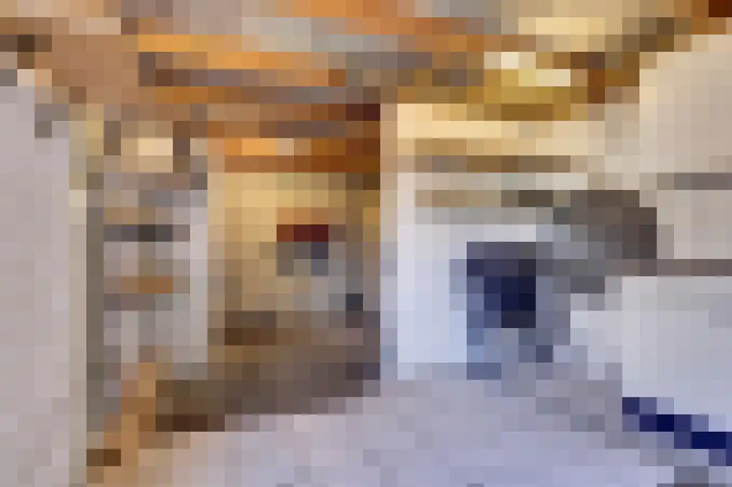 Heierveldlaan 59 Maasbree thumbnail 33