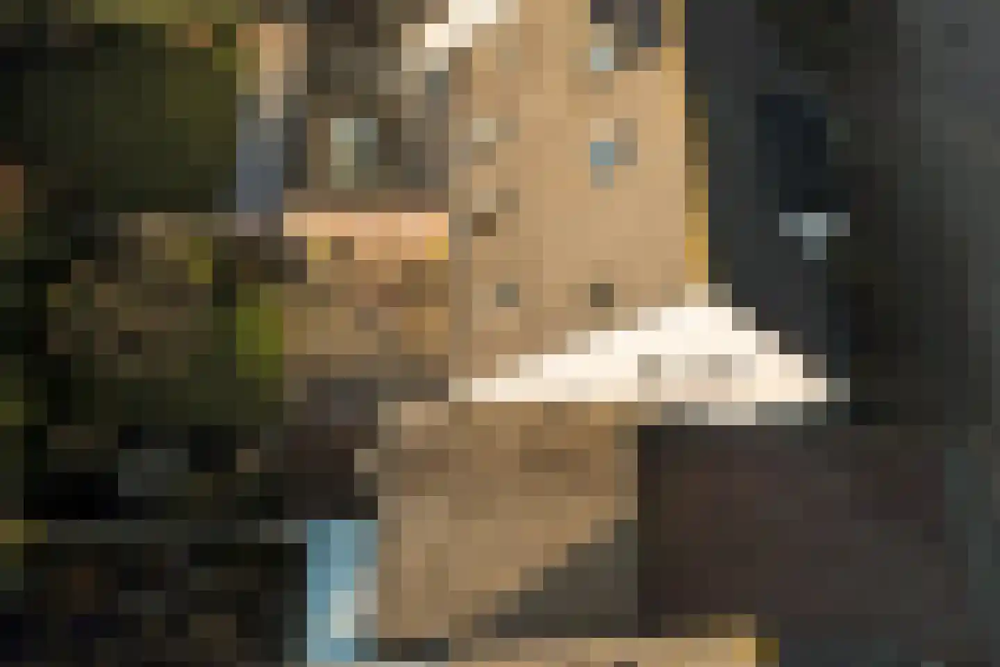 Heierveldlaan 59 Maasbree thumbnail 44
