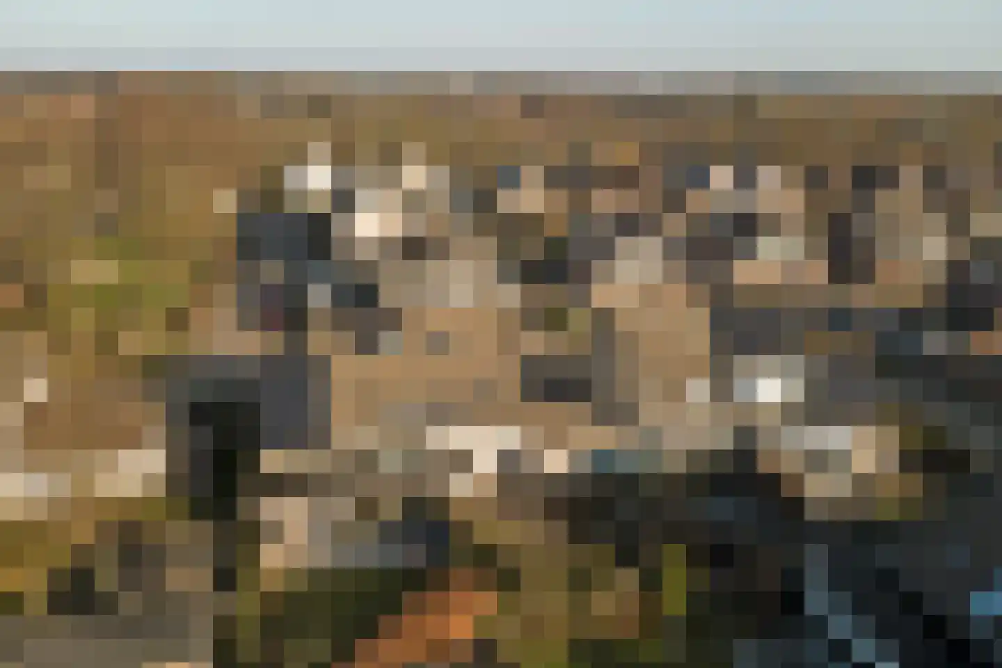 Heierveldlaan 59 Maasbree thumbnail 46