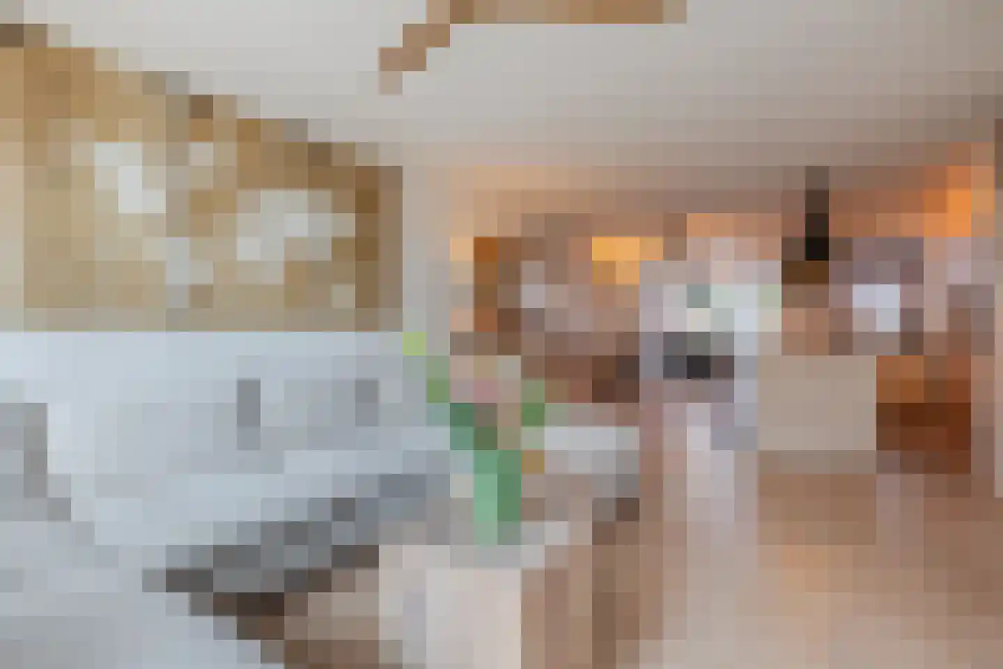 Heierveldlaan 62 Maasbree thumbnail 10