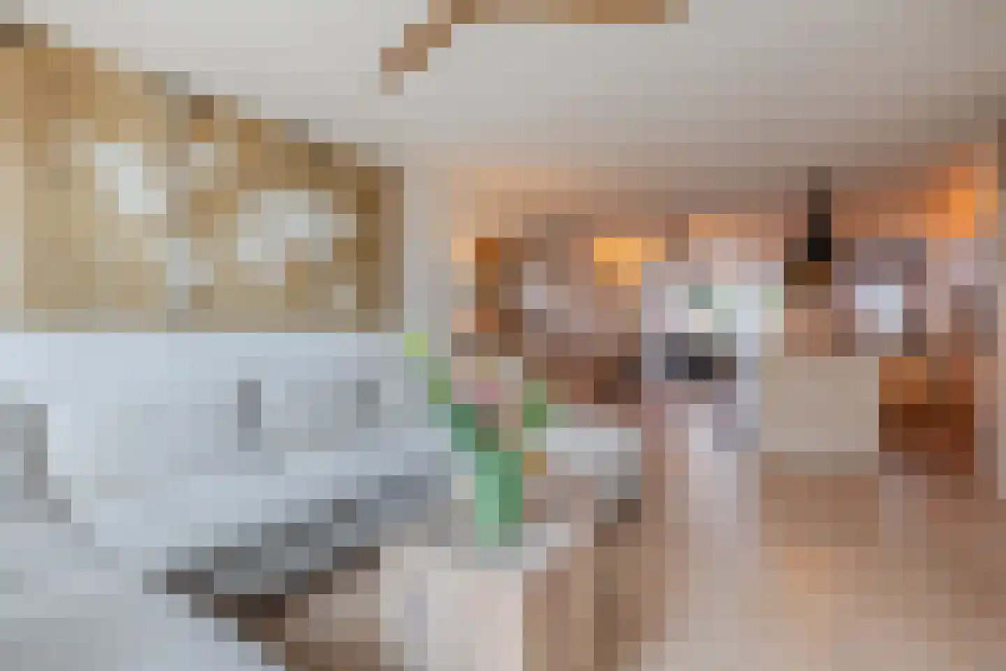 Heierveldlaan 62 Maasbree thumbnail 10