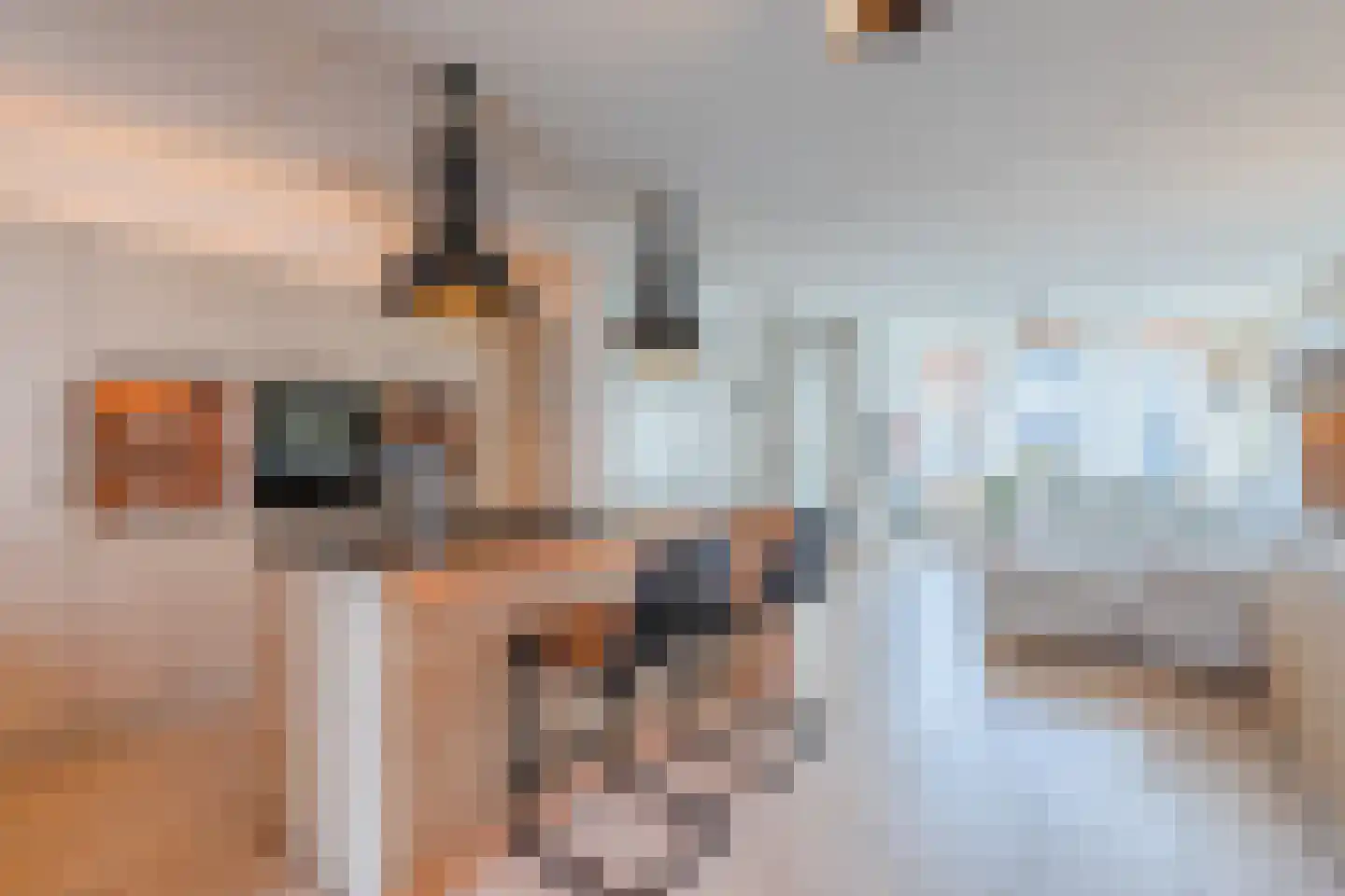 Heierveldlaan 62 Maasbree thumbnail 15