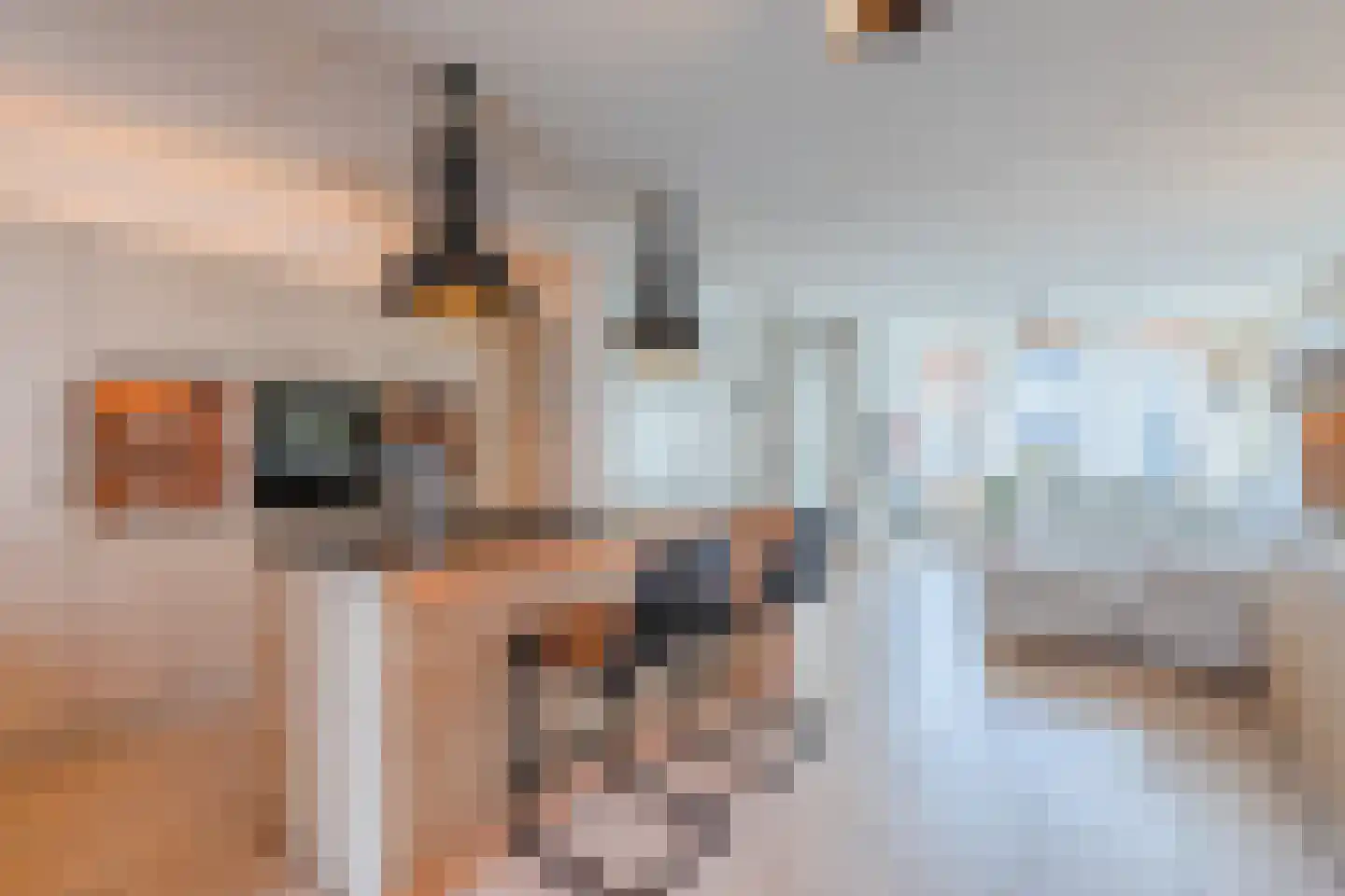 Heierveldlaan 62 Maasbree thumbnail 15