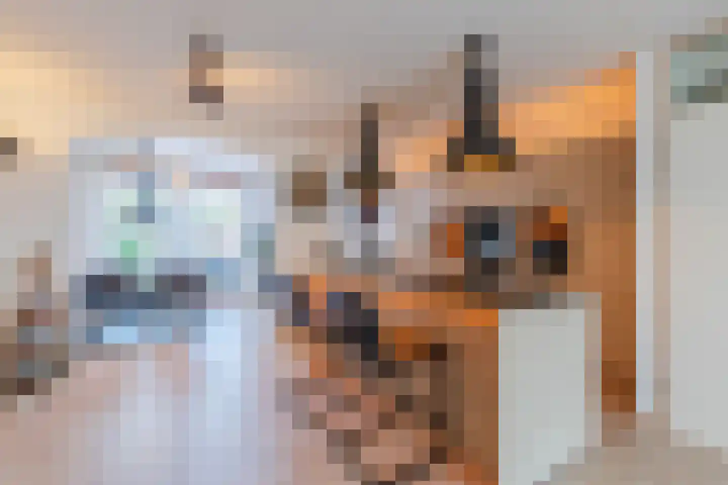 Heierveldlaan 62 Maasbree thumbnail 17