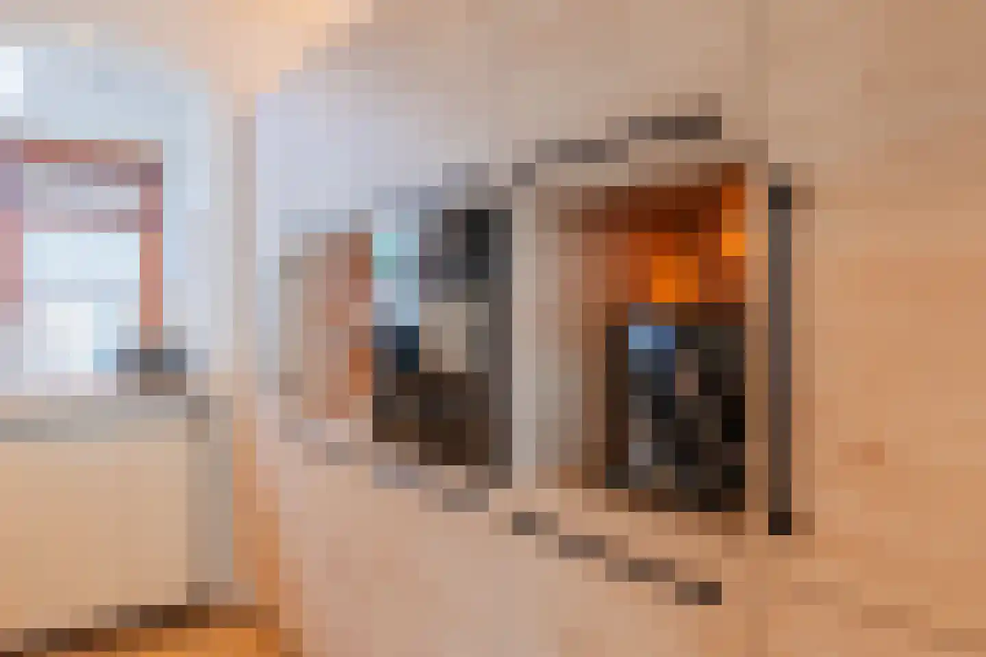 Heierveldlaan 62 Maasbree thumbnail 20