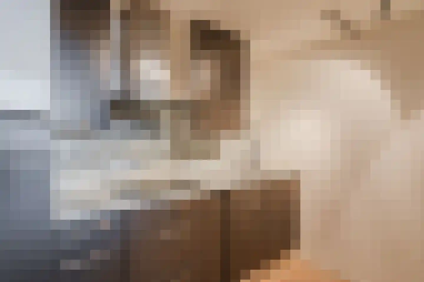 Heierveldlaan 62 Maasbree thumbnail 22