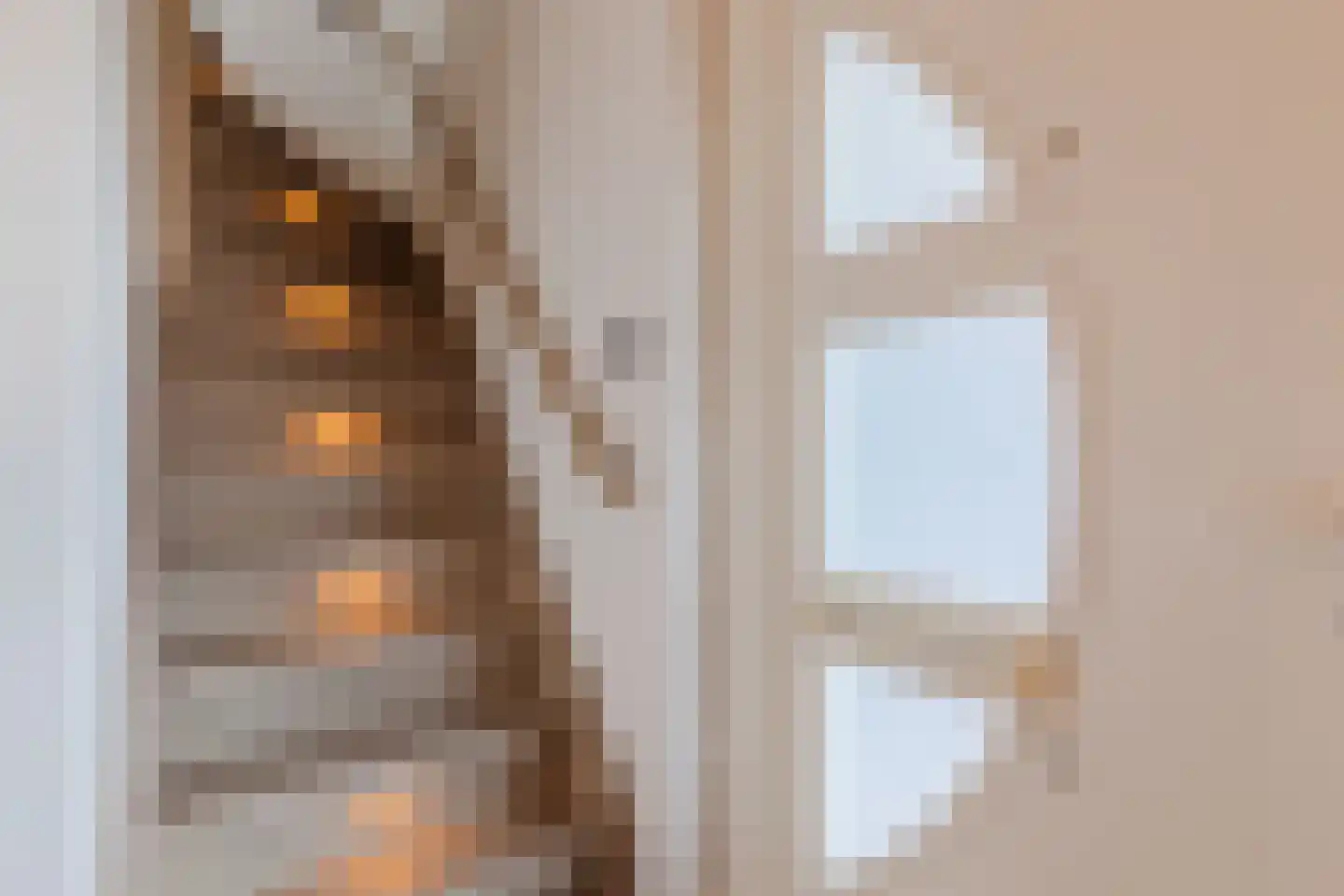 Heierveldlaan 62 Maasbree thumbnail 25