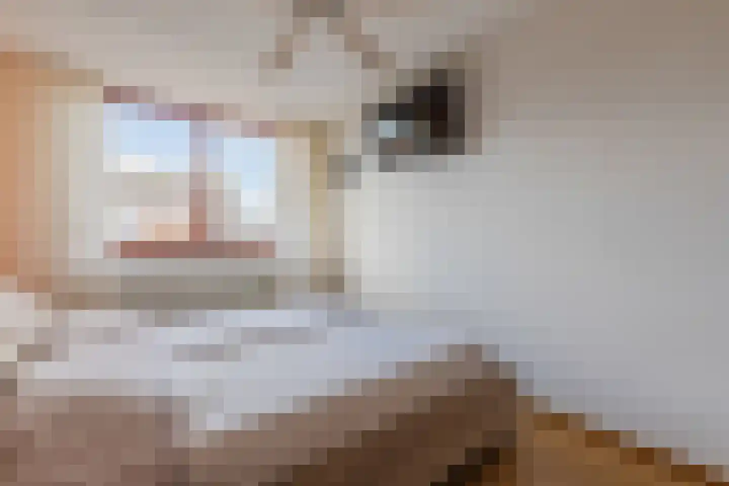Heierveldlaan 62 Maasbree thumbnail 30