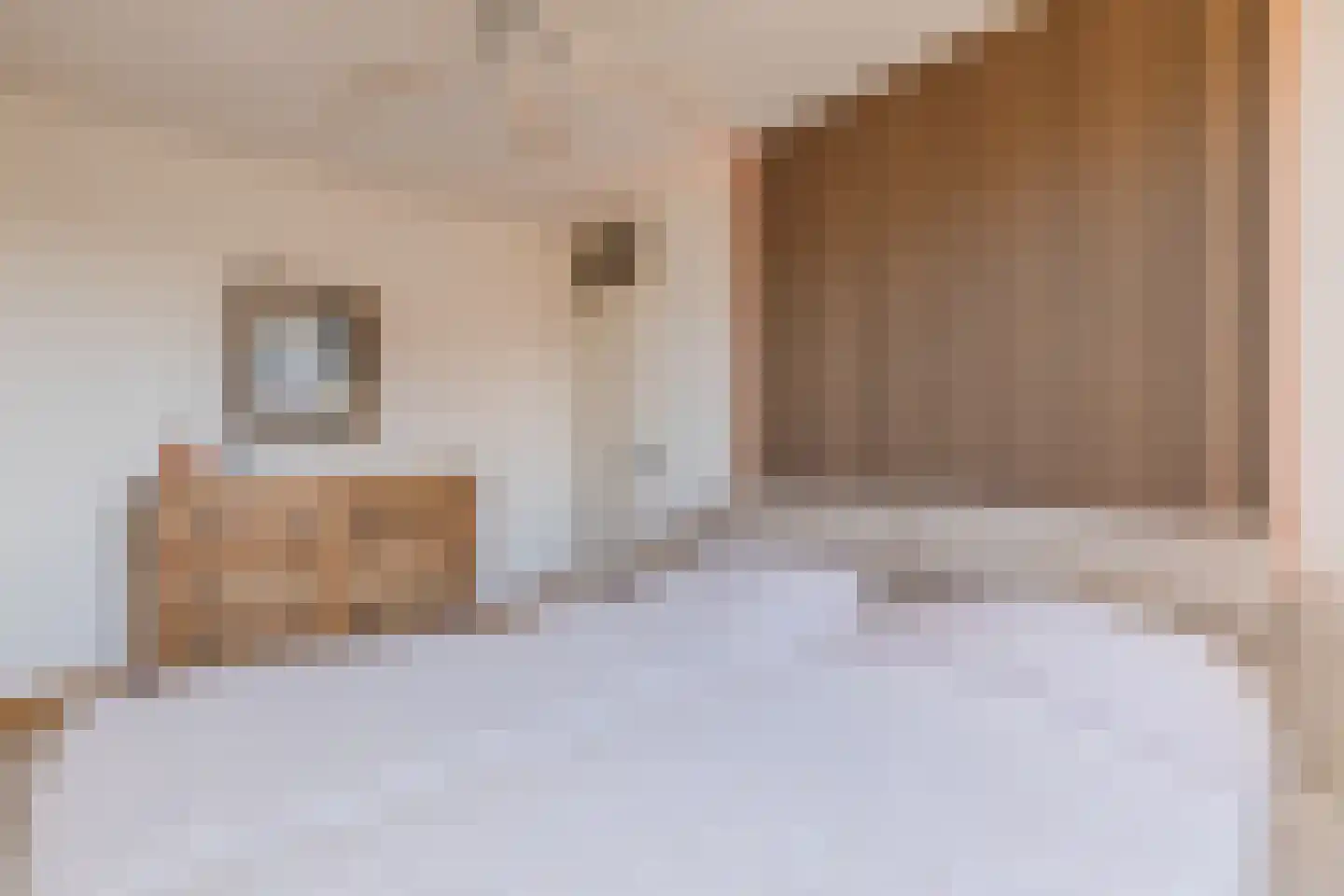 Heierveldlaan 62 Maasbree thumbnail 32