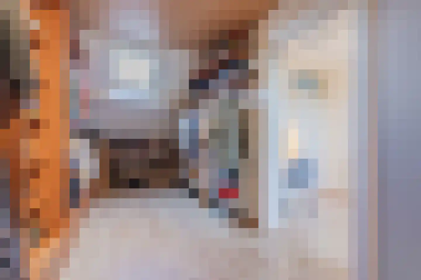 Heierveldlaan 62 Maasbree thumbnail 35