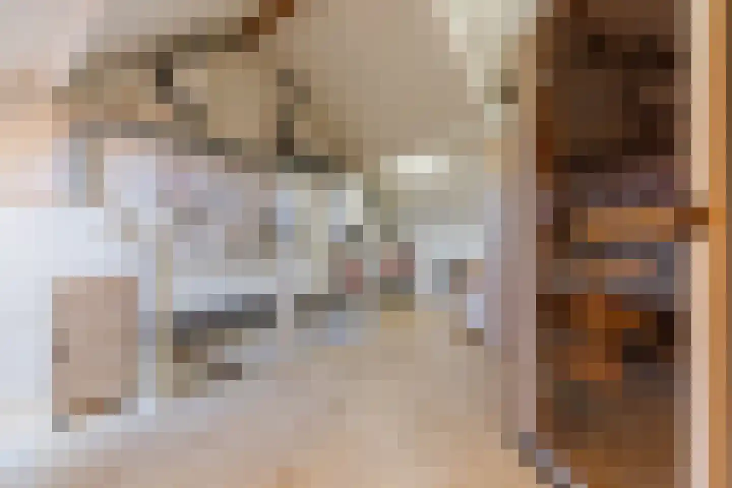Heierveldlaan 62 Maasbree thumbnail 48